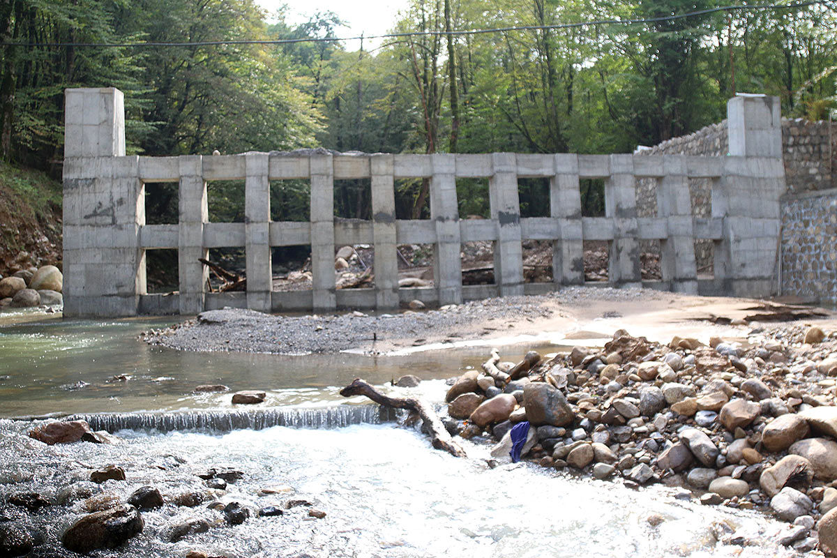 سرشاخه گیر نوشهر