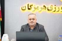 فعالیت ۲۵۳ واحد صنایع تبدیلی و غذایی در هرمزگان