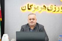فعالیت ۲۵۳ واحد صنایع تبدیلی و غذایی در هرمزگان