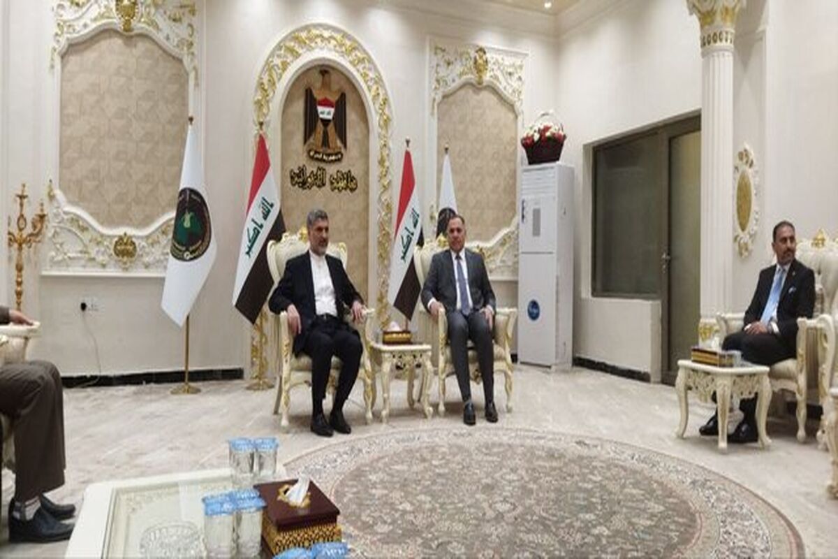 سعید سیدین