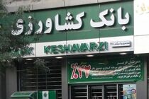 واریز بیش از ۱۱۱۴ میلیارد ریال وجوه خرید تضمینی گندم به حساب کشاورزان استان تهران توسط بانک کشاورزی