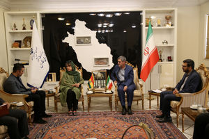 استان فارس از ظرفیت های خوبی برای همکاری با بولیوی برخوردار است