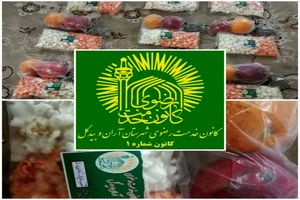  ۱۳ هزار خادمیار و یاور رضوی در مازندران فعالیت می کنند