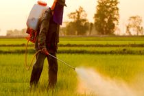 باید برای ورود سم کم خطر به اتحادیه اروپا وصل شویم