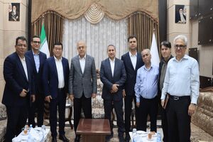 هرمزگان آماده جذب سرمایه‌گذاری چین در حوزه انرژی خورشیدی