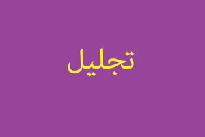 رئیس کل دادگستری استان یزد از فرمانده انتظامی تقدیر کرد