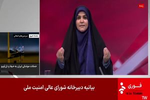 معاون رئیس جمهور از مجری شبکه خبر تمجید کرد