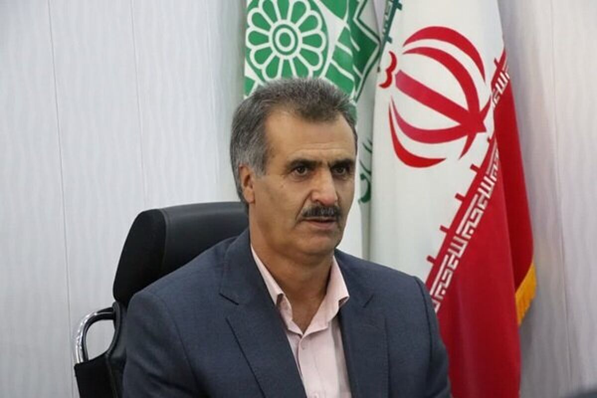 گنجی