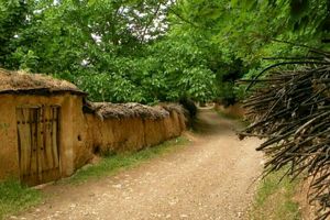 تغییر کاربری باغات شیراز خط قرمز ماست