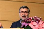 ماجرای فرار مالیاتی ۶۵۰۰ میلیاردی پزشکان از زبان رییس سازمان نظام پزشکی