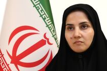 حقوق خانواده جانباختگان هواپیمای اوکراینی از صندوق توسعه ملی جبران خواهد شد