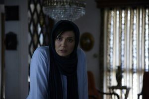 «هایلایت» از 20 درصد هم گذشت