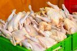 کشف بیش از ۳۲ تن مرغ خارج از شبکه توزیع در استان ایلام