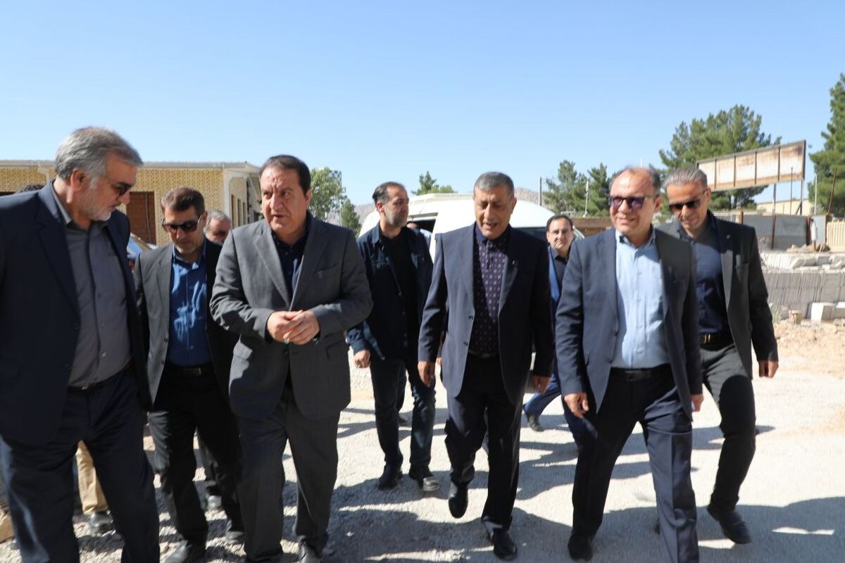 بازدید۳