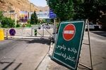 انسداد موقت جاده چالوس برای عبور احشام