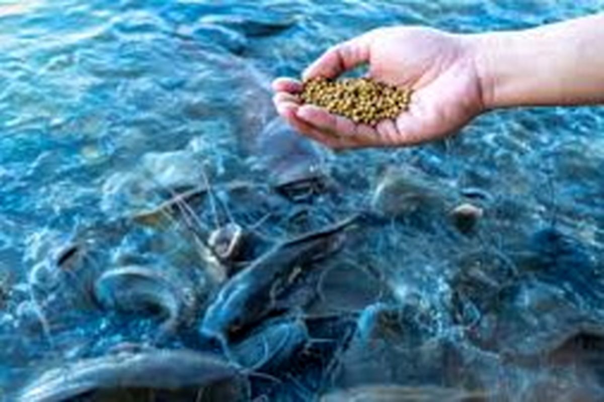 صنایع تبدیلی و غذایی سازمان جهادکشاورزی هرمزگان 