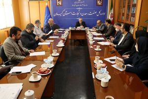 با دارندگان کارت های بازرگانی مشکوک به اجاره برخورد می شود