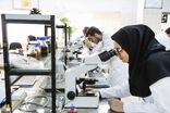 موفقیت پژوهشگران مشهدی در تولید پودر استخوانی پیشرفته برای کاربردهای پزشکی