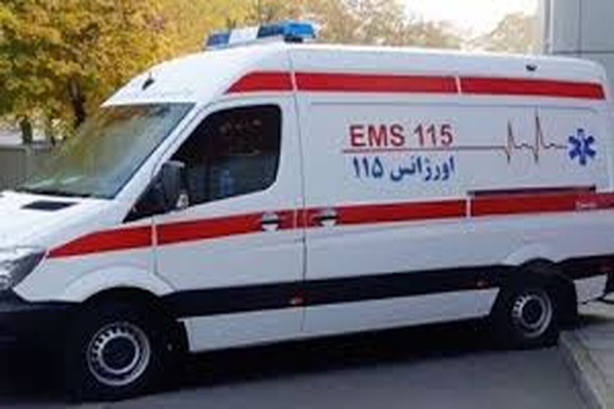 بارگیری (8)