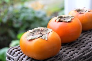 خرمالو کشنده است؟