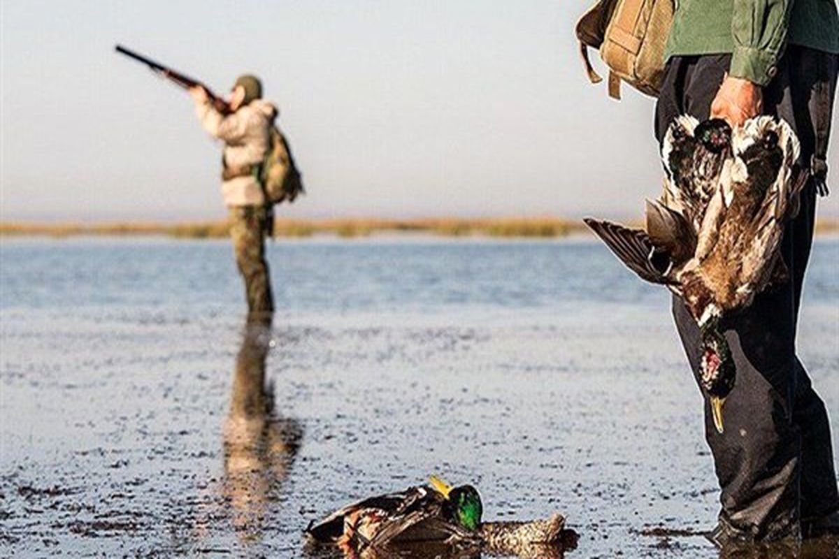 تمدید صدور پروانه شکار