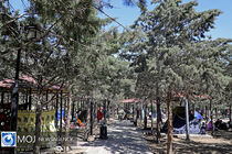 فرماندار نکا از آمادگی کامل ستاد خدمات سفر شهرستان خبر داد