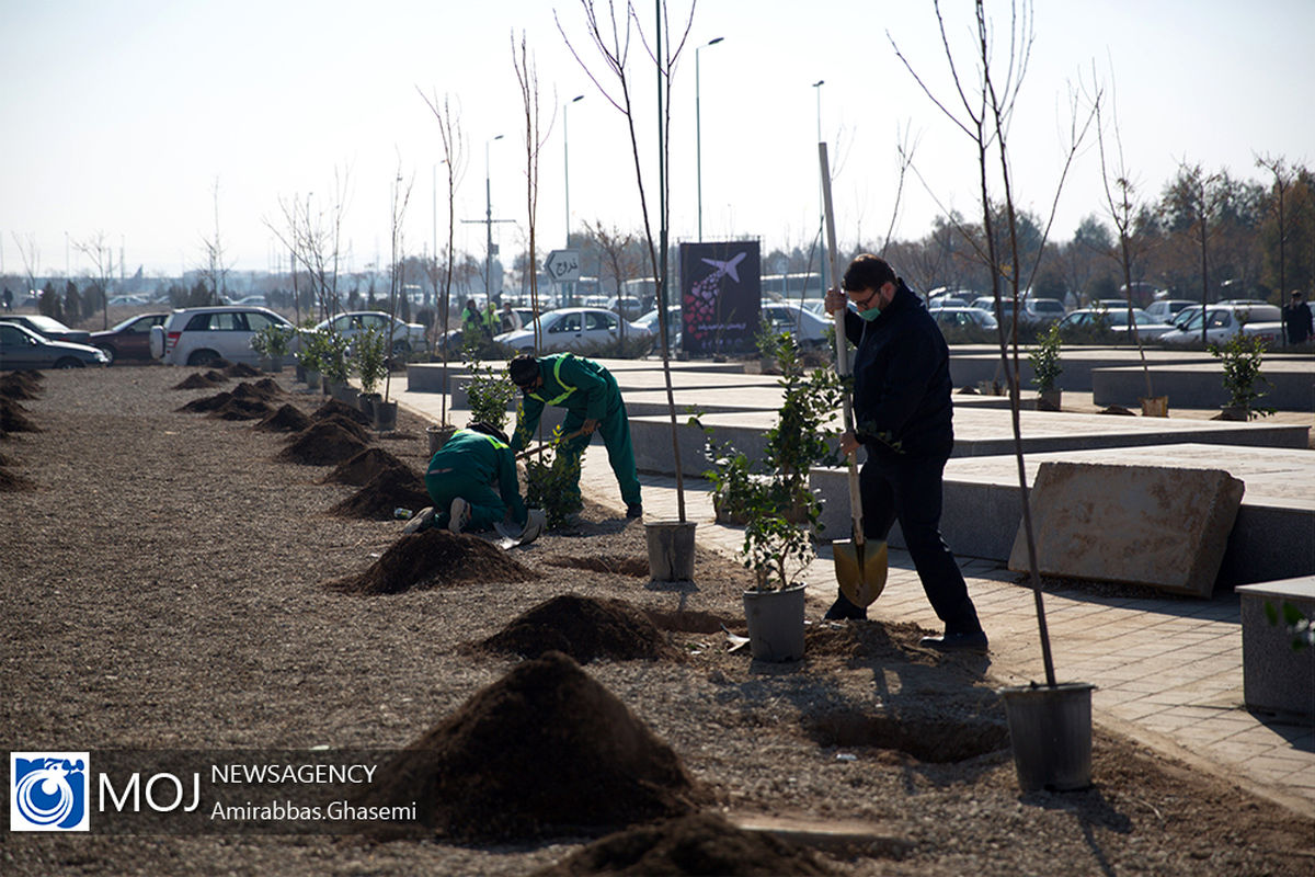 روز+درخت‌کاری+بندرعباس