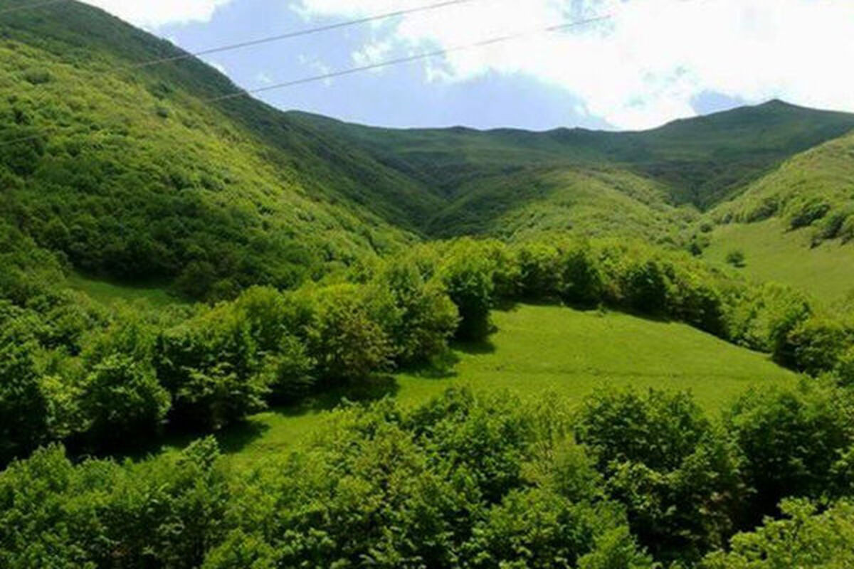 منابع طبیعی و آبخیزداری