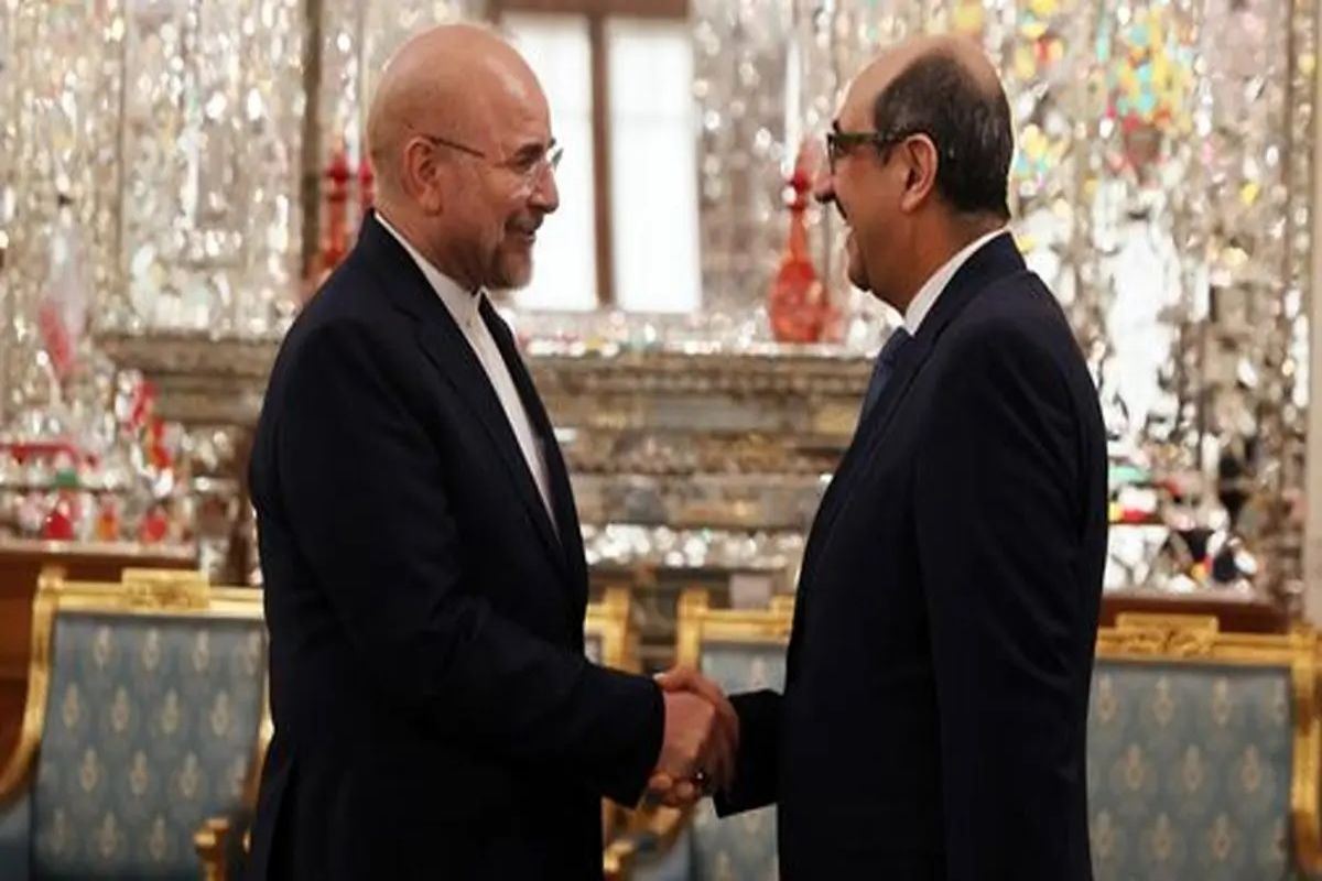 رئیس مجلس شورای اسلامی