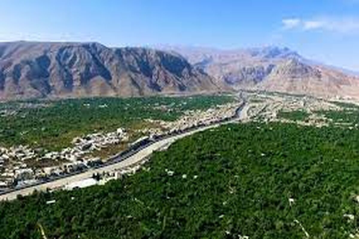یزد