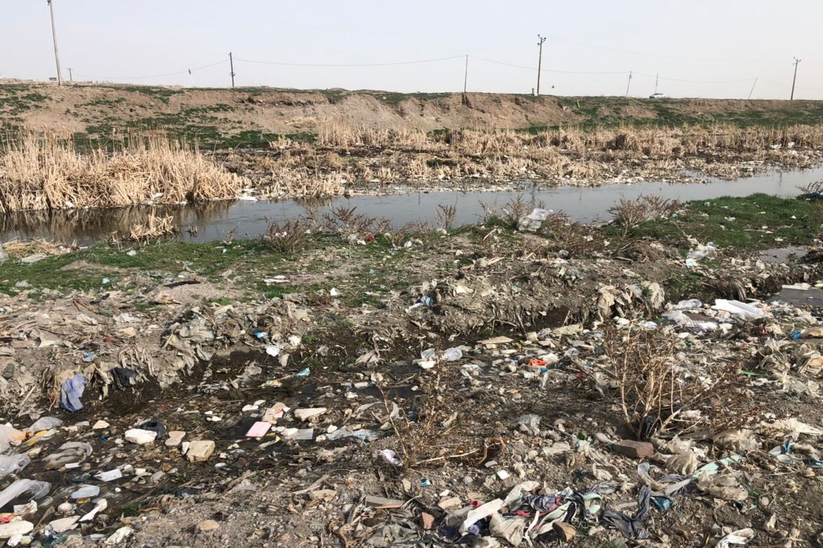 بالیقلو چای