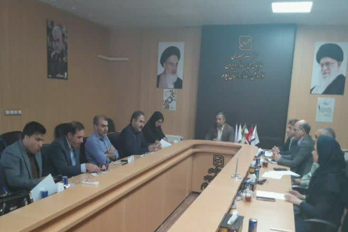 استاندارد