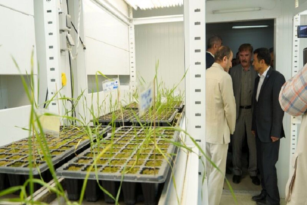 دانشگاه تبریز