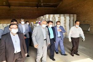 تولید ۴۰۰ هزار تن دانه‌های روغنی در سال جاری/افتتاح نمایندگی اداره غله شهرستان نهاوند