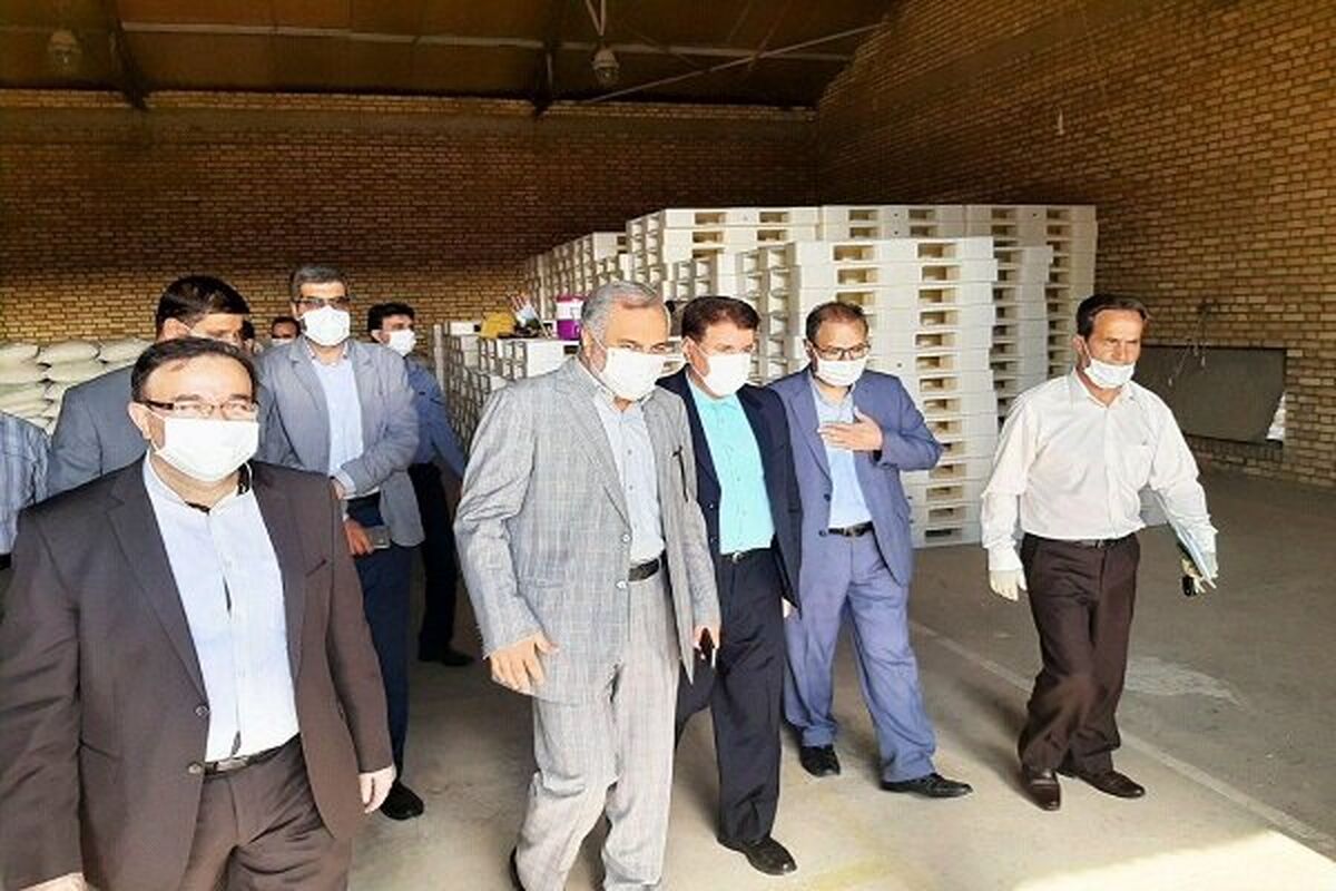 سیف