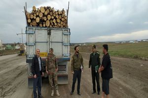 ۱۵ تن چوب قاچاق در قزوین کشف شد