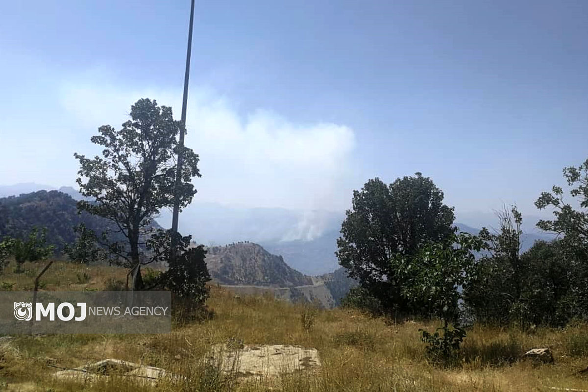 آتش سوزی جنگل های الیگودرز