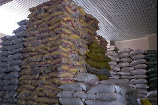 آغاز ثبت سفارش واردات برنج و روغن