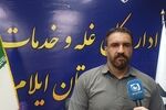 خرید ۲۴۹ هزار تن گندم در ایلام؛ ۹ همت از مطالبات کشاورزان پرداخت شد