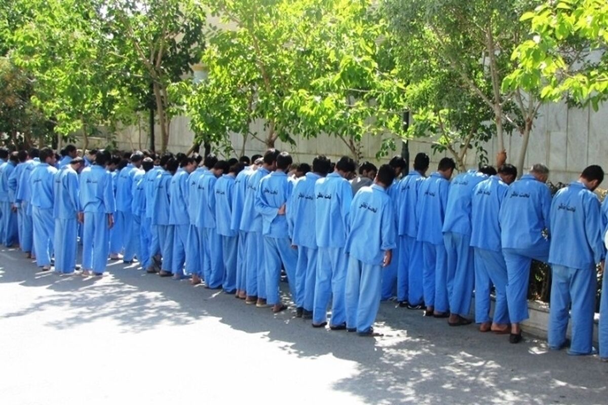 دستگیری سارق