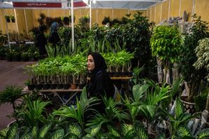 رامسر میزبان  125 مهمان داخلی و خارجی در سمپوزیوم بین المللی گل و گیاه