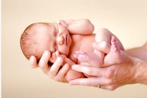 هزینه 24  میلیارد ریالی برای درمان زوج‌های نابارور قمی