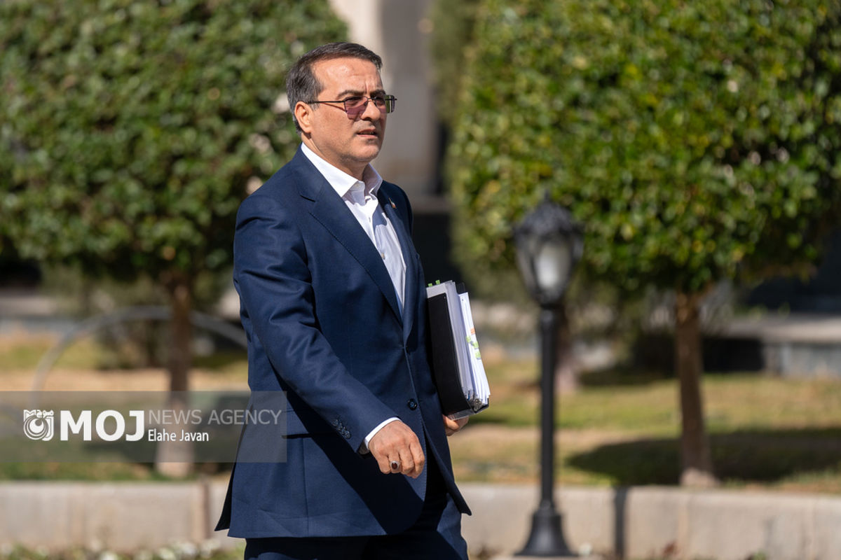 علاءالدین رفیع‌زاده + معاون رئیس جمهور و رئیس سازمان امور اداری و استخدامی کشور