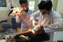 استقرار تیم تخصصی پزشکی در منطقه بشاگرد/درمان رایگان بیش از یک هزار و 85 نفر