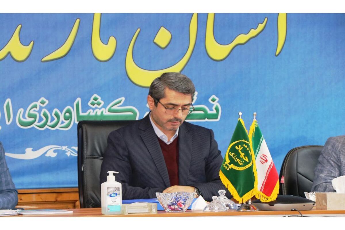 رنجبر سرپرست سازمان حفظ نباتات کشور
