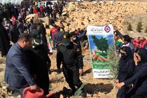 همراهی پرسنل بانک ایران زمین، در مراسم درختکاری