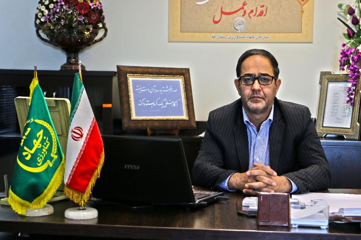 طلایی