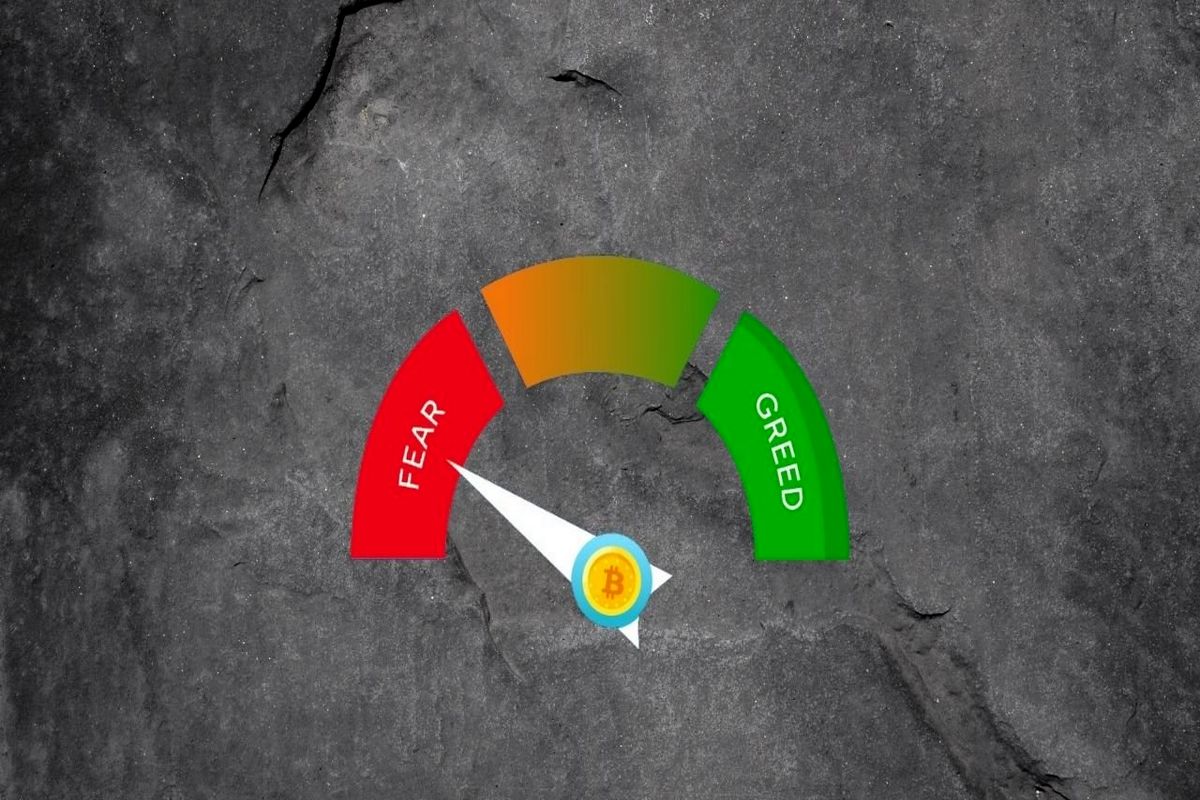 شاخص ترس و طمع
