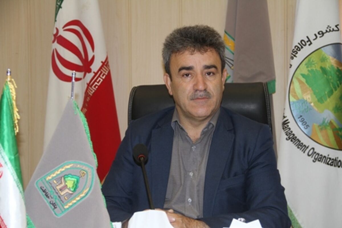 هدایت