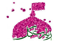 آیین گلاب‌گیری برای تأمین گلاب شست‌وشوی حرم مطهر امام حسین(ع)/زیارت گل در میدان امام حسین(ع) 